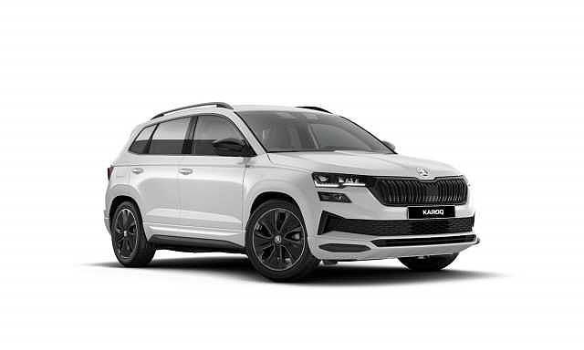 SKODA Karoq 2.0 TDI EVO SCR 115 CV DSG SportLine da Euromotori S.p.A.