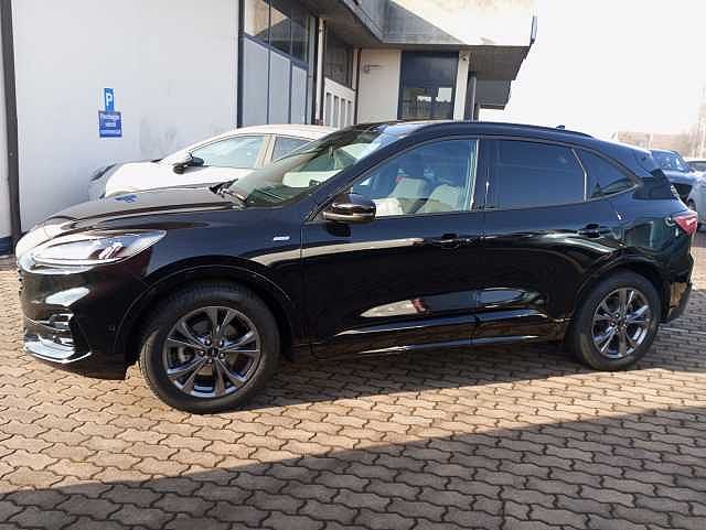 Ford Kuga 3ª serie 1.5 EcoBlue 120 CV 2WD ST-Line