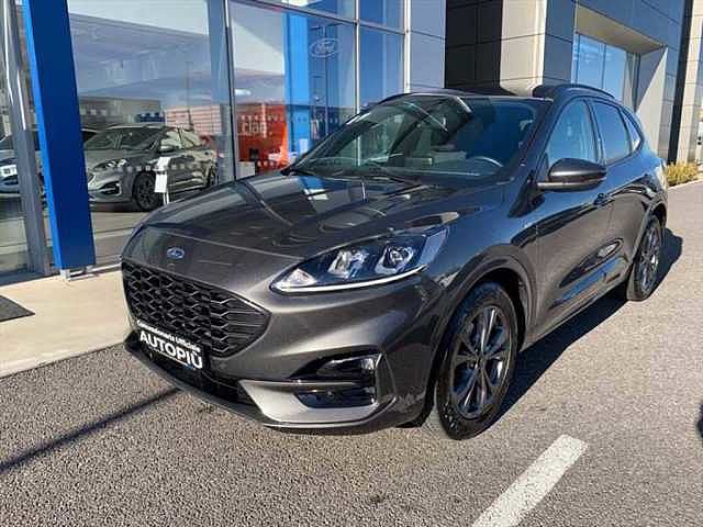 Ford Kuga 2.0 EcoBlue Hybrid 150 CV 2WD ST-Line