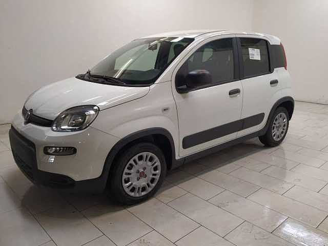 Fiat Panda panda van 1.0 hybrid Street 70cv 4p.ti serie 4 E6d