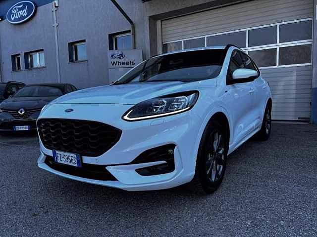 Ford Kuga 2.0 EcoBlue Hybrid 150 CV 2WD ST-Line X