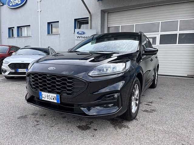 Ford Kuga 1.5 EcoBlue 120 CV aut. 2WD ST-Line X