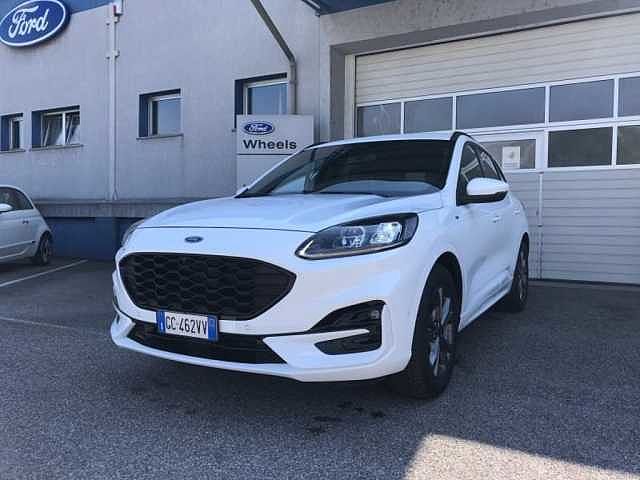 Ford Kuga 1.5 EcoBlue 120 CV aut. 2WD ST-Line X