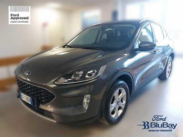 Ford Kuga 3ª serie 1.5 EcoBoost 120 CV 2WD Connect