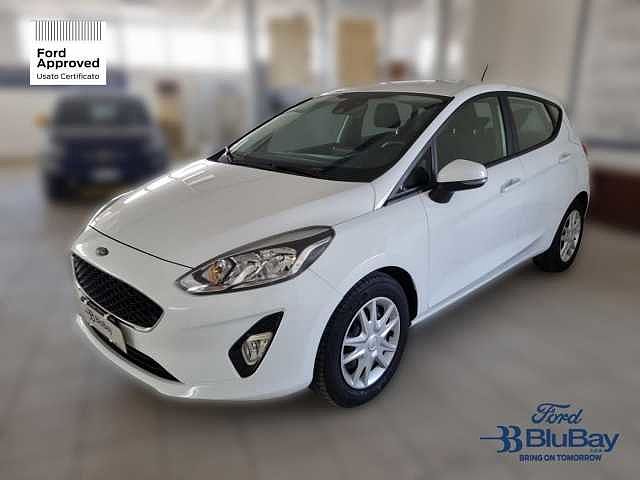 Ford Fiesta 7ª serie 1.1 85 CV 5 porte Plus