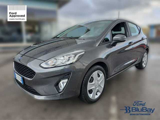 Ford Fiesta 7ª serie 1.1 75 CV 5 porte Connect