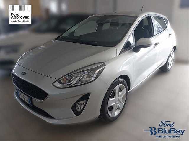 Ford Fiesta 7ª serie 1.1 75 CV 5 porte Connect