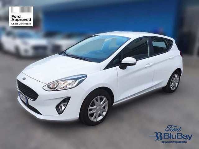 Ford Fiesta 7ª serie 1.1 75 CV 5 porte Connect