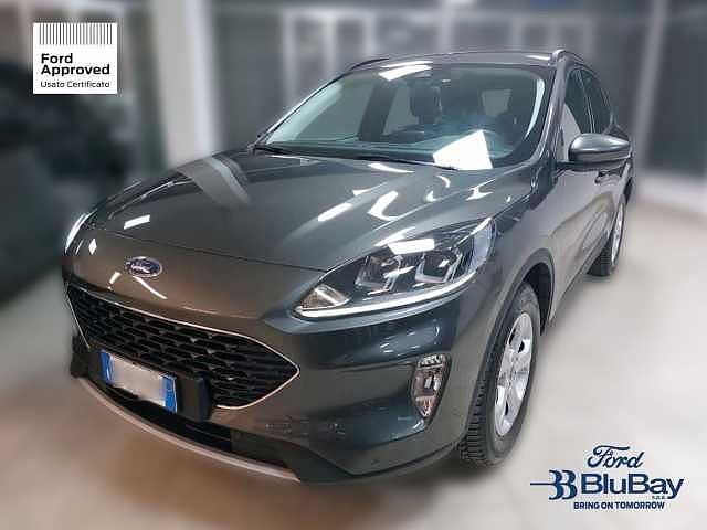 Ford Kuga 3ª serie 1.5 EcoBoost 120 CV 2WD Connect