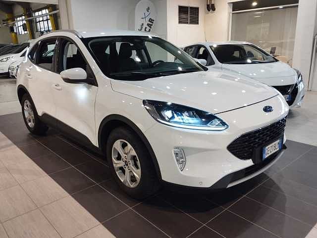 Ford Kuga 3ª serie 1.5 EcoBlue 120 CV aut. 2WD Titanium Business da Eldancar .