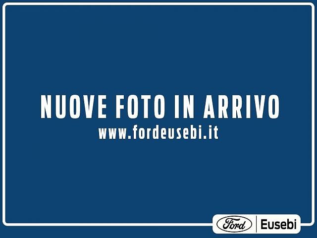 Ford Transit 350 2.0 EcoBlue 170CV PL Cassone fisso da Eusebi .