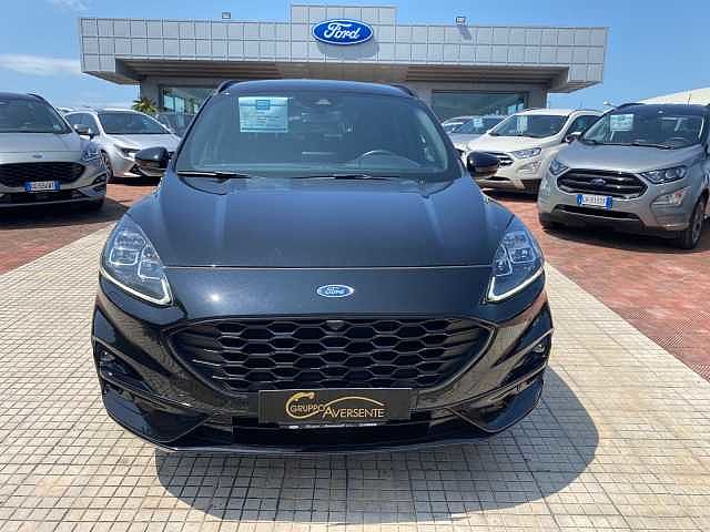 Ford Kuga 1.5 EcoBoost 150 CV 2WD ST-Line X da Giorgio Aversente .