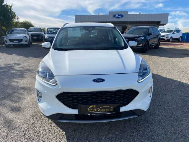 Ford Kuga 1.5 EcoBlue 120 CV 2WD Connect