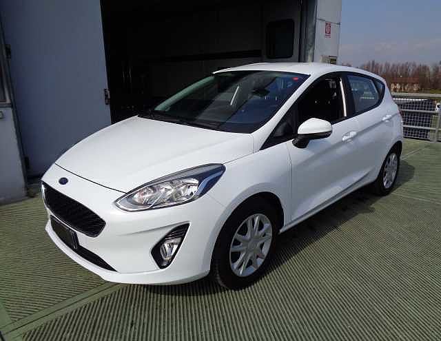 Ford Fiesta 1.1 75 CV GPL 5 porte Plus