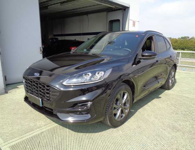 Ford Kuga 1.5 EcoBlue 120 CV 2WD ST-Line X