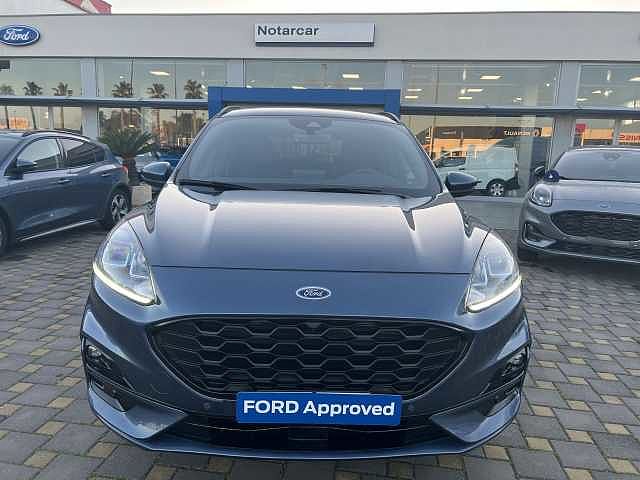 Ford Kuga St-Line 2.0 EcoBlue Hybrid 150 CV 2WD