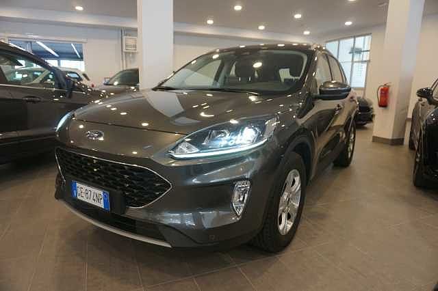 Ford Kuga 3ª serie 1.5 EcoBlue 120 CV 2WD Connect