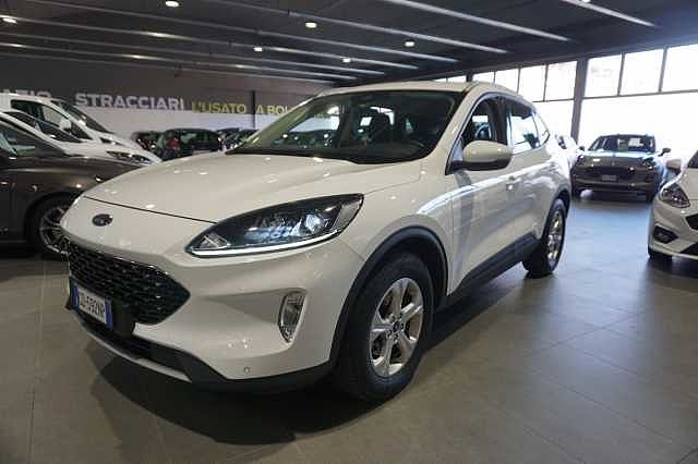 Ford Kuga 3ª serie 1.5 EcoBlue 120 CV 2WD Connect