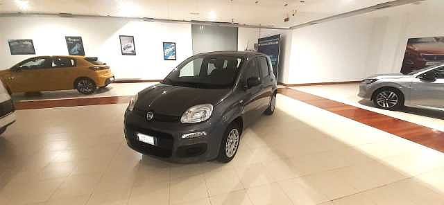 Fiat Panda 3ª serie 1.2 Pop