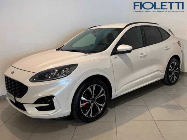 Ford Kuga 2.5 Plug In Hybrid 225 CV CVT 2WD ST-Line X da Fioletti .