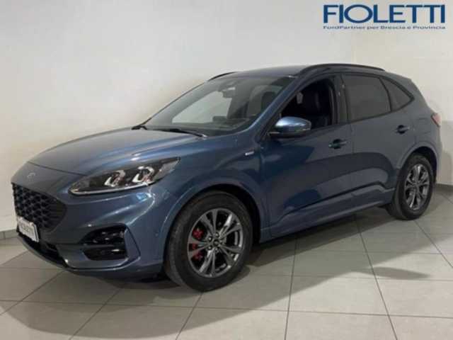 Ford Kuga 1.5 EcoBlue 120 CV 2WD ST-Line