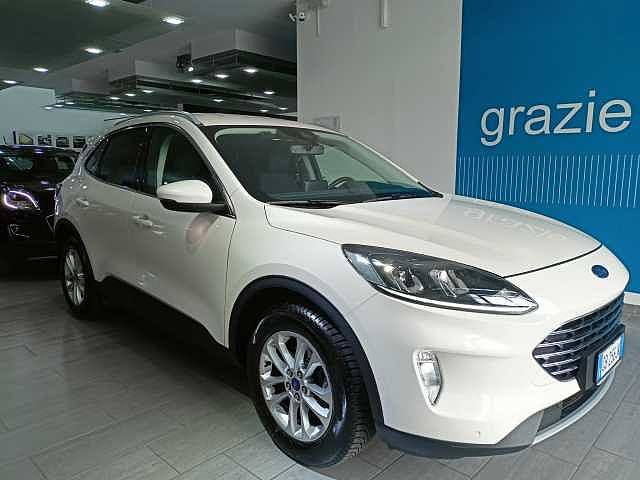 Ford Kuga 3ª serie 1.5 EcoBlue 120 CV 2WD Titanium Business