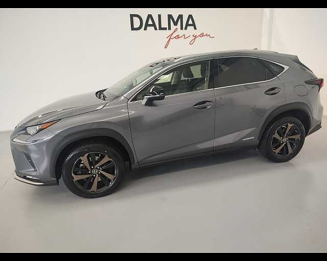 Lexus NX I 2018 NX 300h 2.5 Premium 4wd cvt